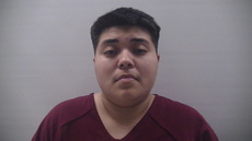 Booking photo of ARROYO WENDY MAE