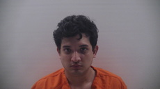 Booking photo of BOTELLO RICARDO