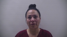 Booking photo of CAMACHO ROSARIO BALCAZAR