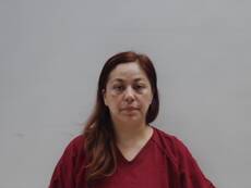 Booking photo of FERNANDEZ SELENE