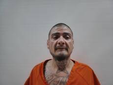 Booking photo of GAONA MARTIN