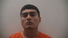 Booking photo of LEDEZMA MIGUEL