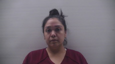Booking photo of MORALES MARIA ISELA
