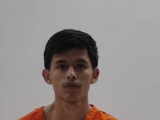 Booking photo of RAMIREZ DIEGO