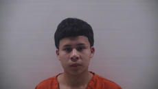 Booking photo of ROBLES CHUY ANDY