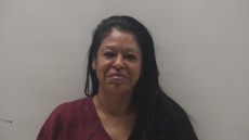 Booking photo of SANCHEZ JESSICA
