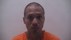 Booking photo of SANDOVAL ROMAN