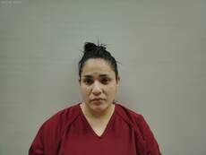 Booking photo of SOSA PAULA