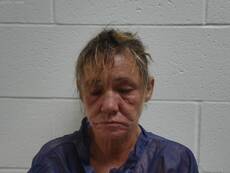 Booking photo of STEPHENS HEATHER LEE
