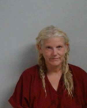 Booking photo of Dawn Marie Fisher