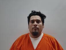Booking photo of CALDERON TRINIDAD