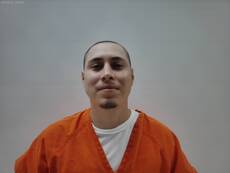 Booking photo of GONZALES MILES