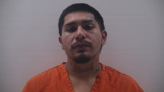 Booking photo of PALOMARES BRANDON LEE