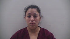 Booking photo of PEREZ ALEXA MARIE