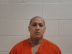 Booking photo of RODRIGUEZ ARMANDO