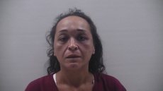 Booking photo of TORRES GONZALEZ MICHELLE