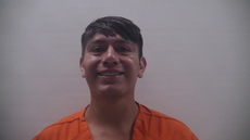 Booking photo of TORRES SERGIO