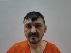 Booking photo of YILDEZ MOHAMMET CON
