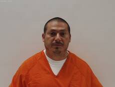 Booking photo of ALANIZ REYNALDO