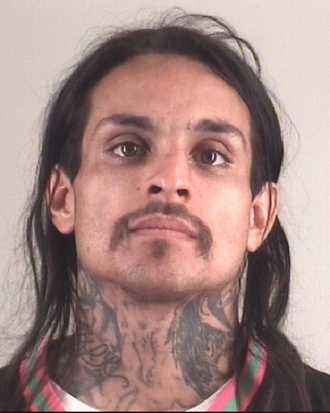 Booking photo of GARRY BRAY