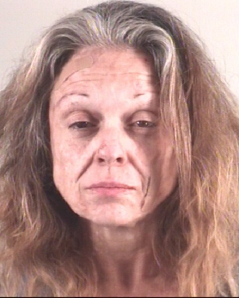 Booking photo of CHERYL VAUGHN