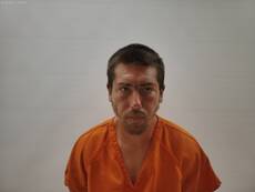 Booking photo of BRAMLITT DYARL ROBIN
