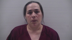 Booking photo of HINTON DENA JEAN