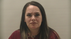 Booking photo of PENA VANESSA
