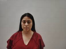 Booking photo of RAMIREZ DANA