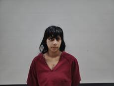 Booking photo of TORRES DELIRA ALEXA