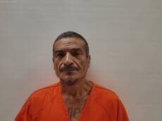 Booking photo of VIDAL RODOLFO C