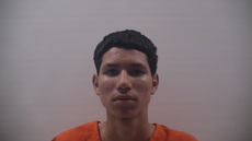 Booking photo of DELEON RICARDO