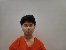 Booking photo of GONZALEZ DAVID
