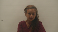 Booking photo of HERNANDEZ MARTINEZ JESSICA