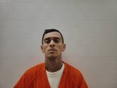 Booking photo of Roa Michael
