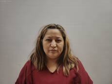 Booking photo of CAMARGO LEYVA CATALINA
