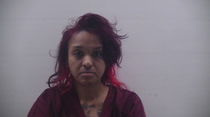 Booking photo of CORONADO VASHTI BRIANA