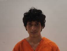 Booking photo of FLORES DAVE ISRAEL