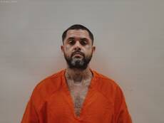Booking photo of STRONG DAVID