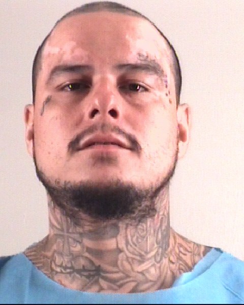 Booking photo of SERGIO AVILES