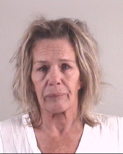 Booking photo of DENISA BRADBURY