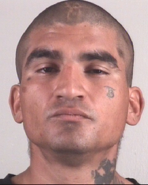 Booking photo of TORRIAN BENAVIDES