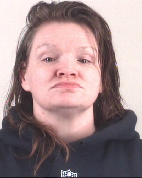 Booking photo of ANN CAHILL