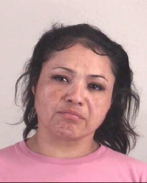 Booking photo of ESTRELLA ESTRADA