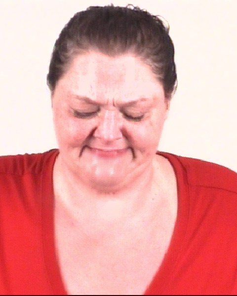Booking photo of SOMER ERICKSON