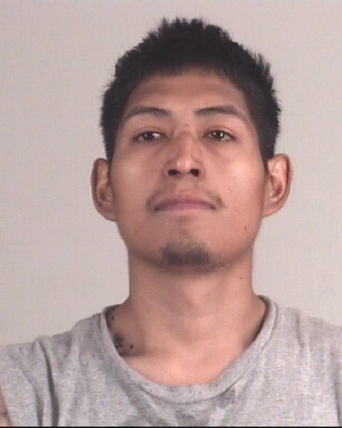 Booking photo of DAVID FLORES