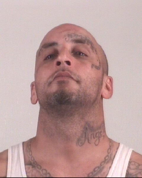 Booking photo of MARK FREDERICK