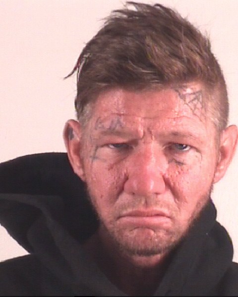 Booking photo of SEAN FLEMING