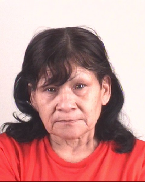 Booking photo of SHELLY FLORES
