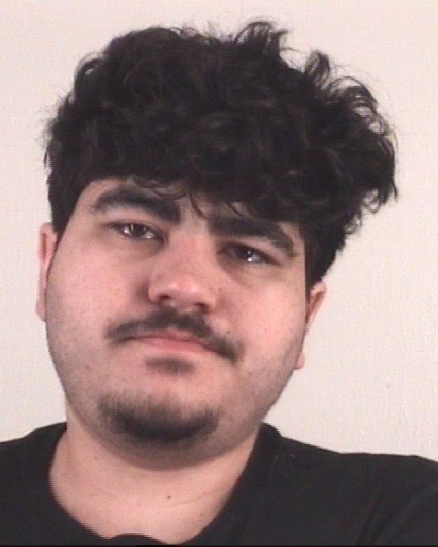 Booking photo of AYEDIN GARLAND
